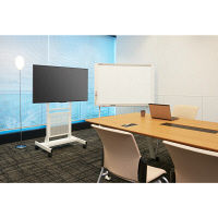プラス 50型ミーティングディスプレイ+スリムスタンドセット MTGS-50-HAISOU-SET 1セット（直送品）