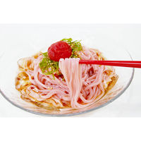 ふみこ農園 丸ざる梅うどん（直送品）