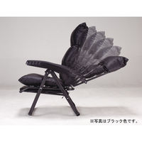 ファミリー・ライフ くつろぎのリクライニングアームチェアDX グリーン 1脚（直送品）