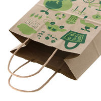 シモジマ 【ケース販売】HEIKO 紙袋 25チャームバッグ 21-12 エコライナーアース 003266747（直送品）