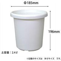 アップルウェアー 長鉢F型 6号 4905980021013 1個