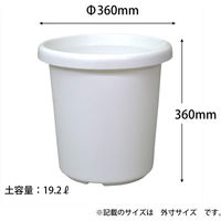 アップルウェアー 長鉢F型 12号 4905980026018 1個（直送品）