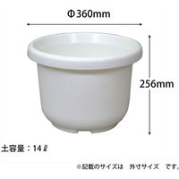 アップルウェアー 輪鉢F型 12号 4905980036017 1個（直送品）