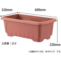 アップルウェアー クイーンワイド 600型 4905980113527 1個（直送品）