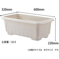 アップルウェアー クイーンワイド 600型 4905980113510 1個（直送品）