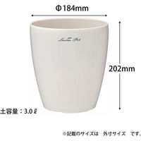 アップルウェアー ラスターポット 185型 4905980123069 1個（直送品）