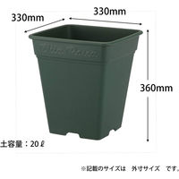 アップルウェアー ロゼアスクエア 330型 4905980312142 1個