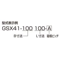 ジーネット GIGA ギガ・セレクション 精密永磁チャック GSX41ー200250ーC GSX41-200250C 1台（直送品）