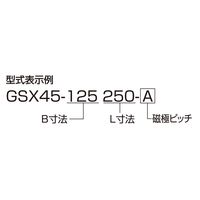 ジーネット GIGA ギガ・セレクション 傾斜式永磁チャック GSX45ー125250ーB GSX45-125250B 1台（直送品）