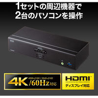 サンワサプライ 4K対応HDMIパソコン自動切替器(2:1) SW-KVM2U3HD 1個（直送品）