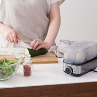 小泉成器 エッグスチーマープラス 4981747076885 1台