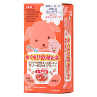 龍角散 おくすり飲めたね スティックタイプ いちご味 6本入 4987240601951 1箱(6本入)