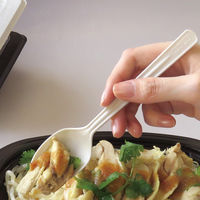 TAスプーン 160mm 個包装 1袋（100本入）