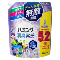 ハミング 消臭実感 アクアティックフルーツの香り 超特大 詰め替え 2000mL 1箱（4個入） 柔軟剤 花王