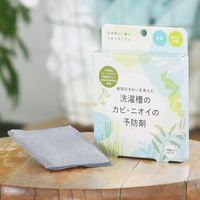 【アウトレット】地球のきれいを考えた 洗濯槽のカビ・ニオイの予防剤 グレー 1個