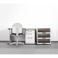 【軒先渡し】RISU（リス） ペーパー分類ボックス 4段 幅562×奥行383×高さ914ｍｍ ブラウン GGYC739 1台（直送品）