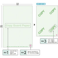 小林クリエイト 偽造防止用紙 A4  1セット（500枚：100枚入×5）