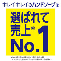 キレイキレイ　薬用泡ハンドソープ　フルーツミックスの香り　詰替え450mL　5個　【泡ハンドソープ】　ライオン