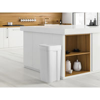 Like-it（ライクイット） シールズ45 密閉ダストボックス ホワイト ゴミ箱 LBD-03 1個