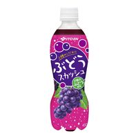 伊藤園 2種のこだわり ぶどうスカッシュ 450ml 1箱（24本入）