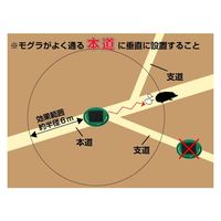 アサノヤ産業 ハイパワー・ソーラーもぐら防除器(可変式) 4935682026382 1セット(10個)（直送品）