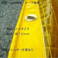 上村産業 防虫防炎糸入りビニールカーテン 0.3mm厚 幅150cm×高さ150cm cb-b30-150-150 1枚（直送品）