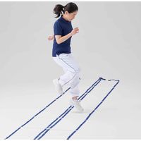 淡野製作所 ラダーL550 (2本1組) 幅42cm×長さ5.5m D5307 1個