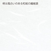 コクヨ（KOKUYO） PPC用和紙柄入り 60g/m2 A4 100枚入 白 KB-W119W 500枚
