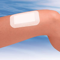 FC 防水ワンタッチパッド お徳用 L 1箱（12枚）白十字 1セット（60枚：12枚入×5）