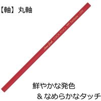 トンボ鉛筆 缶入り色鉛筆 1セット（120：24色入×5） CB-NQ24C