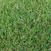 ビーカム グリーンターフ　芝の長さ18mm　1m×10m　U字ピン20本付き GTF-1810 1本（直送品）