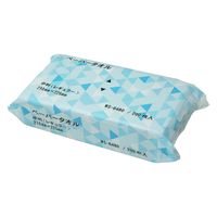 小野商事 ペーパータオル 中判(レギュラーサイズ) 200枚入 WS6480 1セット(30パック)