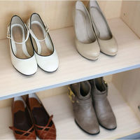 ワイズ 消臭くつ箱用シート 4933776478857 1セット(1個×20)