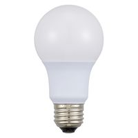 オーム電機 LED電球 A E26 4.8W 昼白色 06-3082 1個