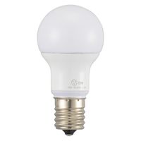 オーム電機 LED電球リアルPS E17 2W電球色 06-3621 1個