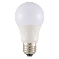 オーム電機 LED電球 A E26 4W 昼光色2P 06-4351 1個
