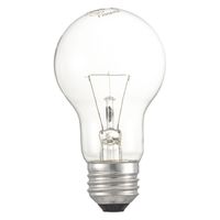オーム電機 クリア電球40W1P 06-4733 1個