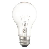 オーム電機 クリア電球100W2P 06-4743 1個