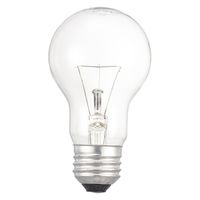 オーム電機 長寿命クリア電球40W1P 06-4747 1個
