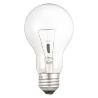 オーム電機 長寿命クリア電球100W2P 06-4757 1個