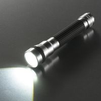 オーム電機 LEDデュアルスイッチライト 321Z 08-1016 1個