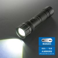 オーム電機 LED高機能ライト KS441PZ 08-1042 1個