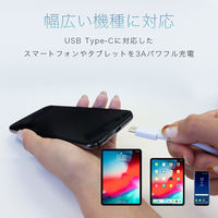 MOTTERU シリコン製USB-A to USB-Cケーブル 2m ピスタチオ MOT-SCBACG200-PS 1個