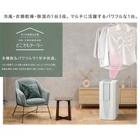 コロナ 冷風・衣類乾燥除湿機 どこでもクーラー 除湿量 10L CDM-1023(AS) 1台