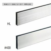 スリーナイン島野 ステン 8ミリハカマ蝶番 HL (L=950迄) 95706 1組（直送品）