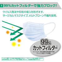 大王製紙 エリエール ハイパーブロックマスク ウイルス飛沫ブロック ジュニアサイズ 1箱（20枚入） 日本製