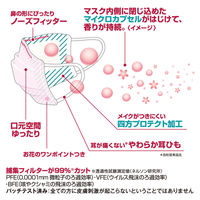 三次元マスク ほんのりハーブが香るマスク ローズの香り 1袋（5枚入） 興和