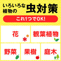 カメムシ駆除 園芸 アースガーデン いろいろな植物つよし 1000mL 殺虫剤  家庭菜園 ガーデニング 観葉植物 対策 虫よけ  1個 アース製薬