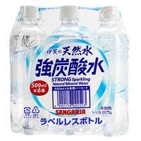 日本サンガリア 伊賀の天然水強炭酸水6本パック ラベルレス 1セット（48本：6本入×8パック）