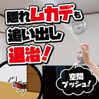 ムカデムエンダー 家中まるごと ムカデ  カメムシ 害虫 スプレー  60プッシュ 最大90畳 1本 KINCHO キンチョー